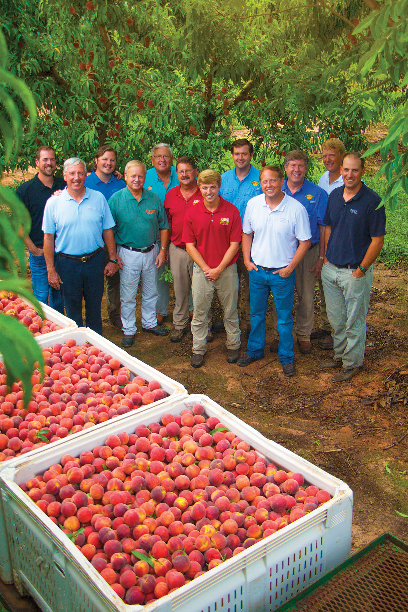 Georgia Peach Farmers - The Peach Pelican